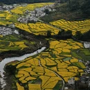 黄山旅游 缩略图 11