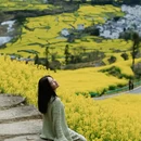 黄山旅游 缩略图 13
