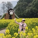 黄山旅游 缩略图 2