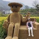 黄山旅游 缩略图 6