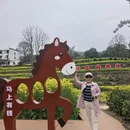 黄山旅游 缩略图 8