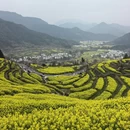 黄山旅游 缩略图 11