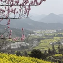 黄山旅游 缩略图 5