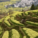 黄山旅游 缩略图 1