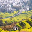 黄山旅游 缩略图 3