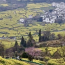 黄山旅游 缩略图 8