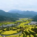 黄山旅游 缩略图 1