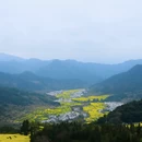 黄山旅游 缩略图 2