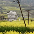 黄山旅游 缩略图 11