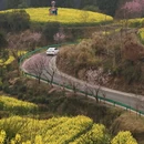 黄山旅游 缩略图 5