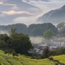 黄山旅游 缩略图 1