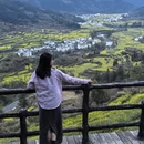 黄山旅游 缩略图 5