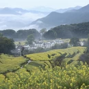 黄山旅游 缩略图 4