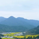 黄山旅游 缩略图 3