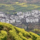 黄山旅游 缩略图 9