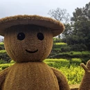 黄山旅游 缩略图 3