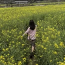 黄山旅游 缩略图 8