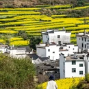 黄山旅游 缩略图 4