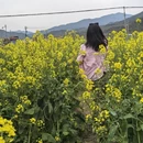 黄山旅游 缩略图 6