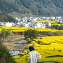 黄山旅游 缩略图 5