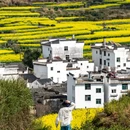 黄山旅游 缩略图 1