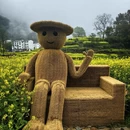 黄山旅游 缩略图 2