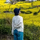 黄山旅游 缩略图 8