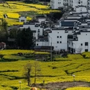 黄山旅游 缩略图 9