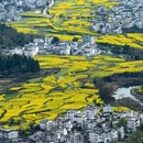 黄山旅游 缩略图 2