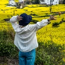 黄山旅游 缩略图 6
