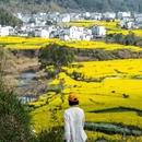 黄山旅游 缩略图 3