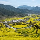 黄山旅游 缩略图 12
