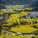 黄山旅游 缩略图 13