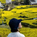 黄山旅游 缩略图 7