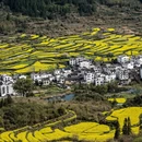 黄山旅游 缩略图 14