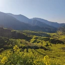 上饶旅游 缩略图 3