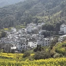 黄山旅游 缩略图 3