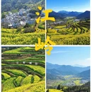 黄山旅游 缩略图 1