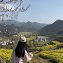 黄山旅游 缩略图 6