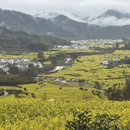 黄山旅游 缩略图 3