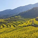 上饶旅游 缩略图 8