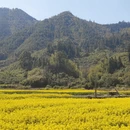 上饶旅游 缩略图 4