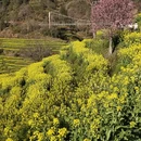 上饶旅游 缩略图 2