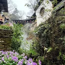 黄山旅游 缩略图 5