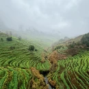 黄山旅游 缩略图 4