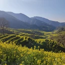 上饶旅游 缩略图 1
