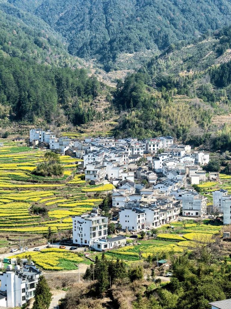 黄山旅游