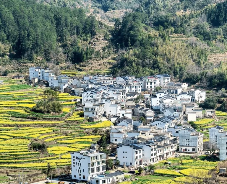 黄山旅游 1