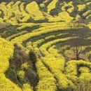 黄山旅游 缩略图 3
