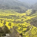 黄山旅游 缩略图 8